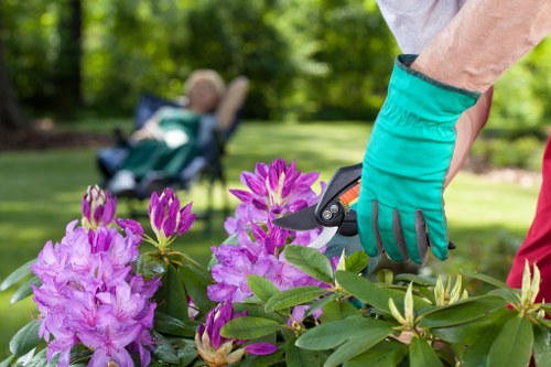 Gardener demonstrating planting techniques to a customer