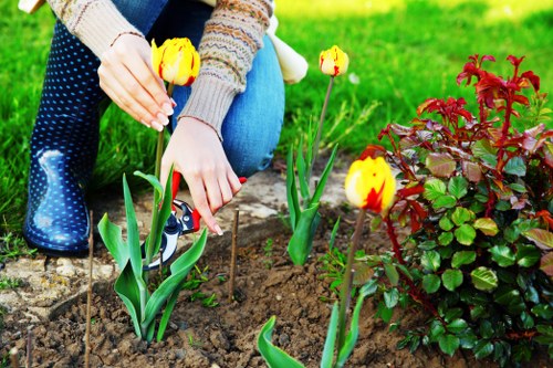 Close-up of accessible garden pathway with clear surface