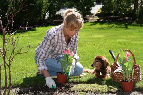 Sustainable tree maintenance practices in Cranford