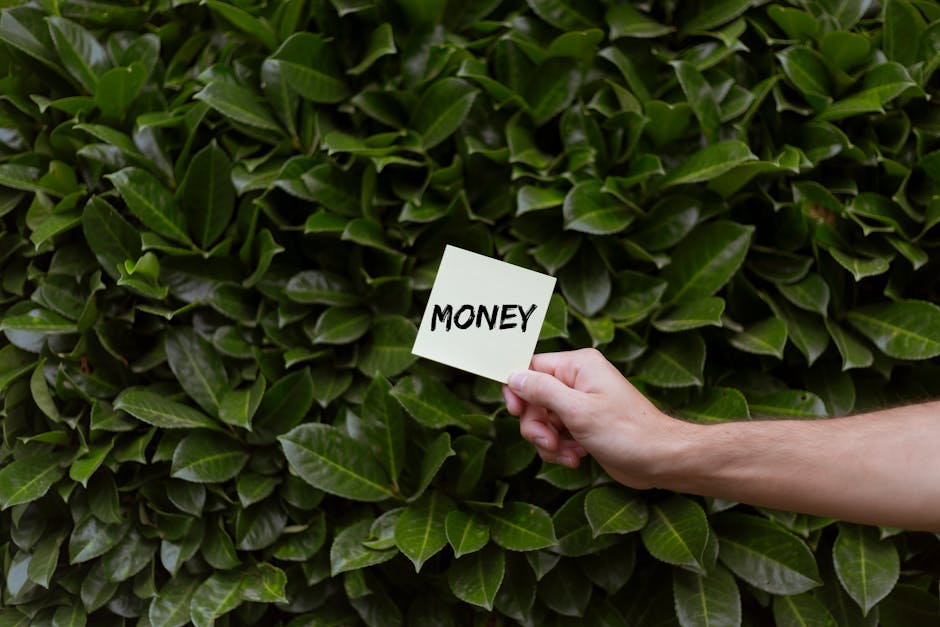 A close-up of a dense, well-maintained hedge composed of glossy green leaves with a slightly textured surface, forming a vibrant backdrop. In the foreground, a person's hand is visible holding a small