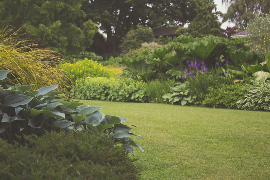 A small, well-maintained garden in Cranford featuring a neatly trimmed lawn bordered by lush, flowering shrubs and plants. In the foreground, there is a patch of bright green grass with a variety of p